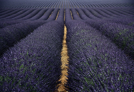 Provence