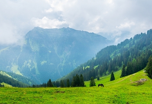 Liechtenstein